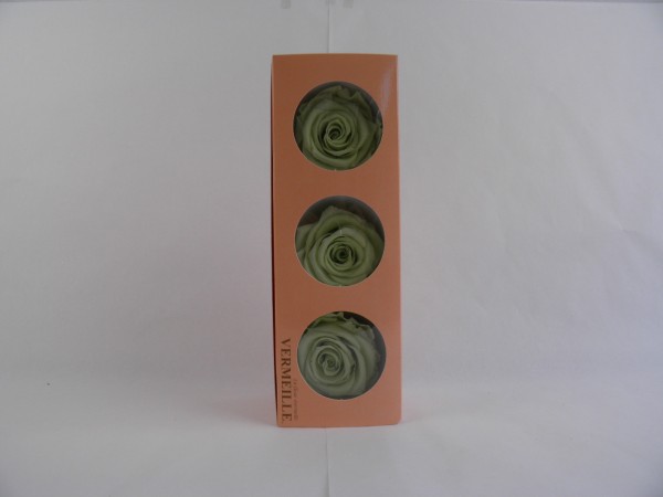 Gefrier Rose Lime Green